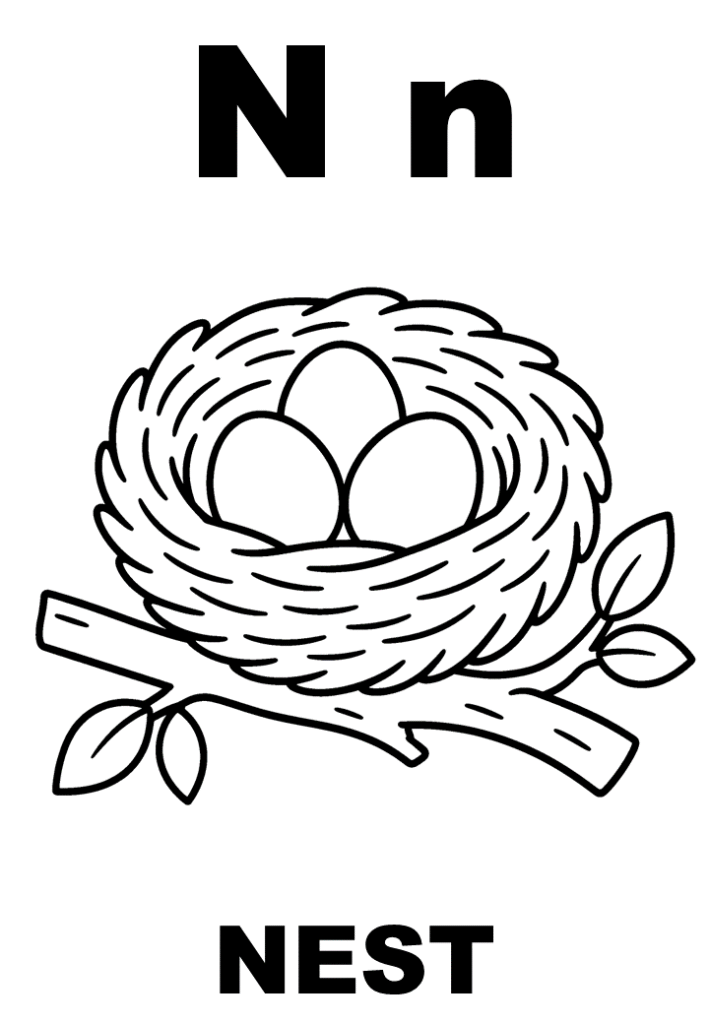 Tranh tô màu chữ N và cái tổ chim Nest, in A4 cho bé
